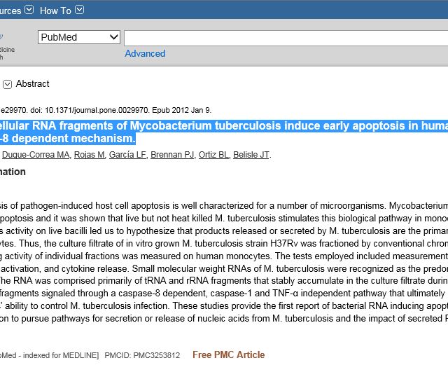 Acercar imagen: certificate 17