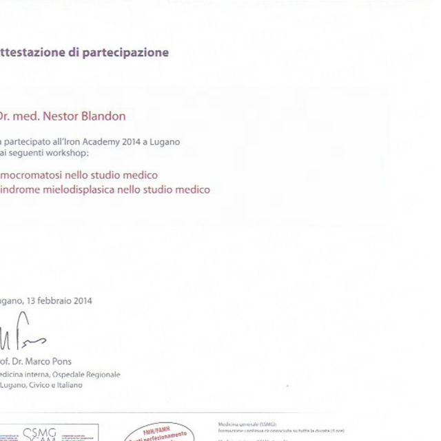 Acercar imagen: certificate 36