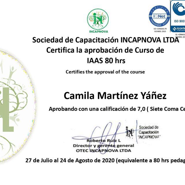 Acercar imagen: certificate 32