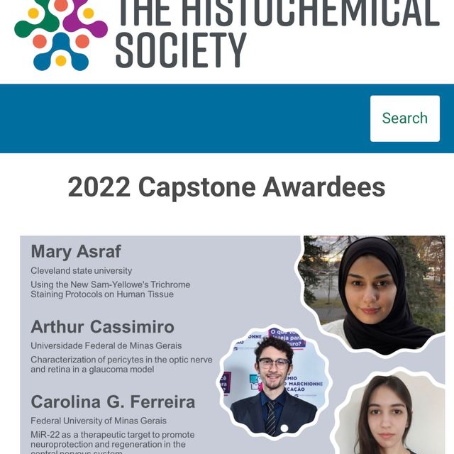 Ampliar imagem: certificate 3
