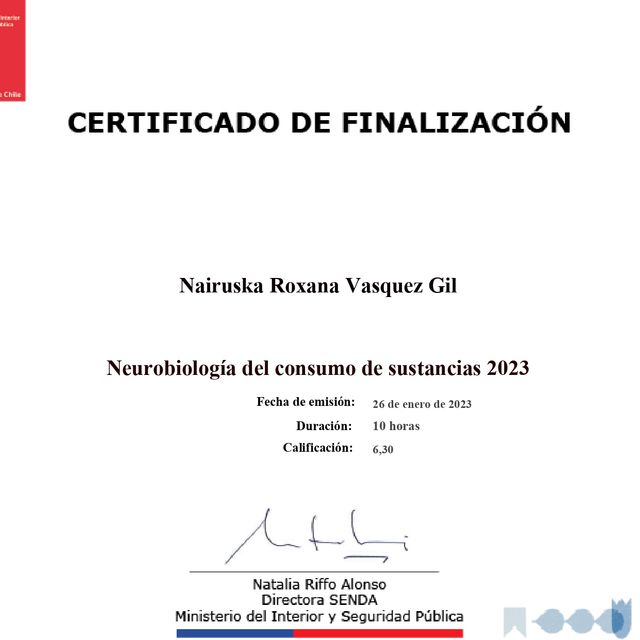 Acercar imagen: certificate 4