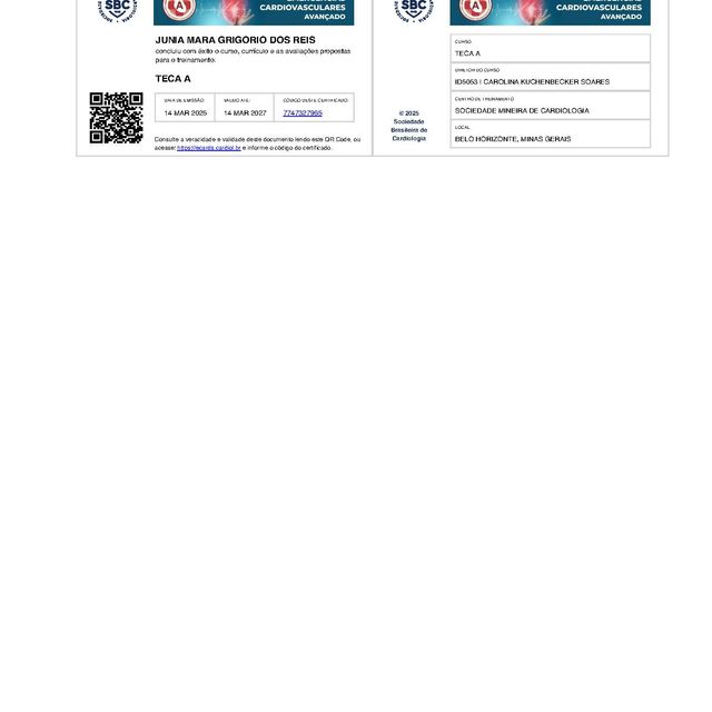 Ampliar imagem: certificate 1