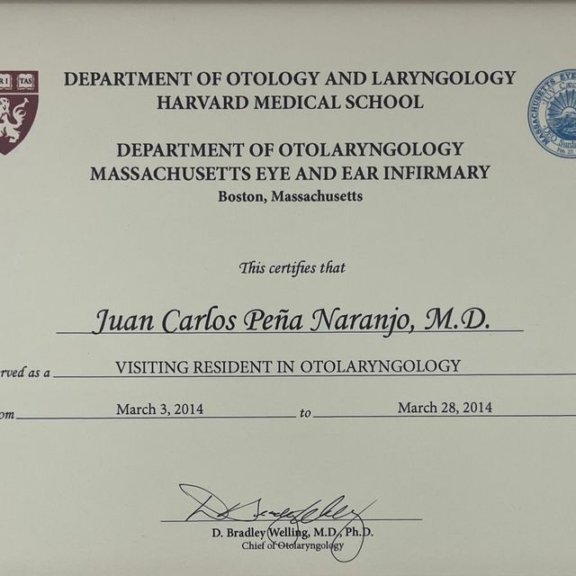 Acercar imagen: certificate 4