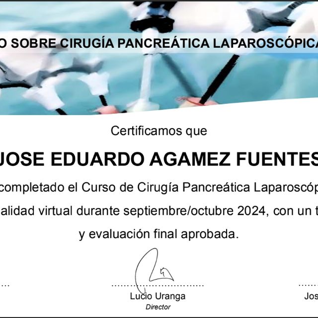 Acercar imagen: certificate 1