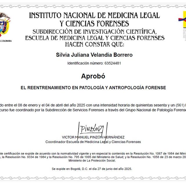 Acercar imagen: certificate 6