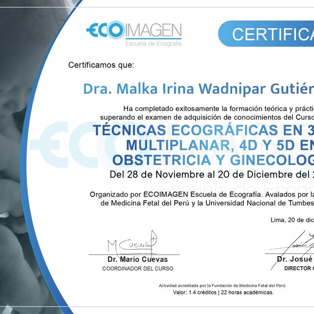 Acercar imagen: certificate 5