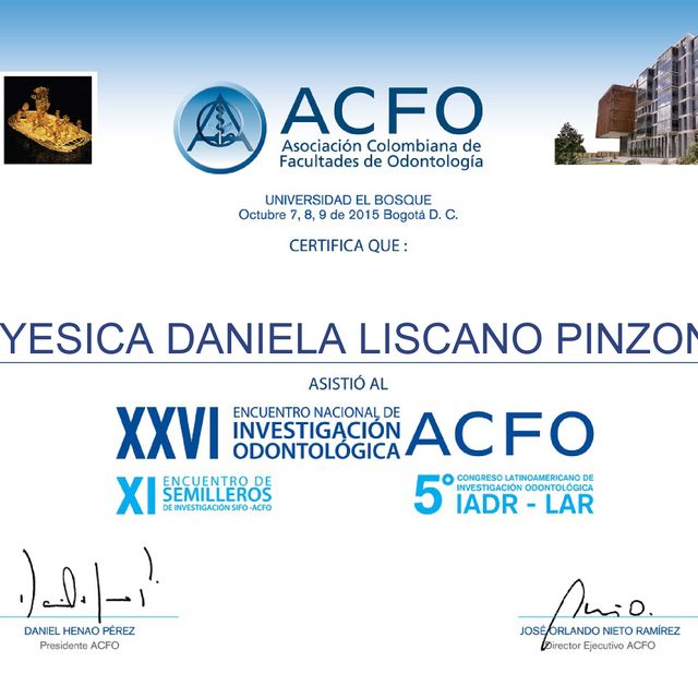 Acercar imagen: certificate 5