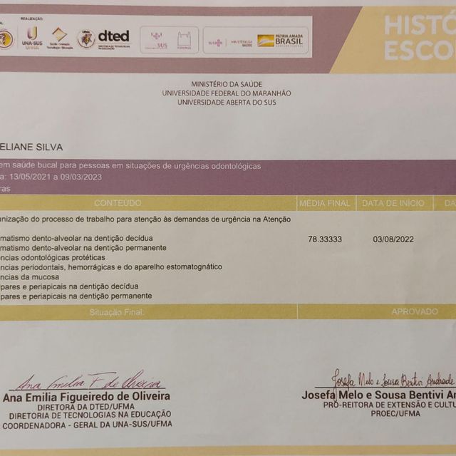 Ampliar imagem: certificate 3