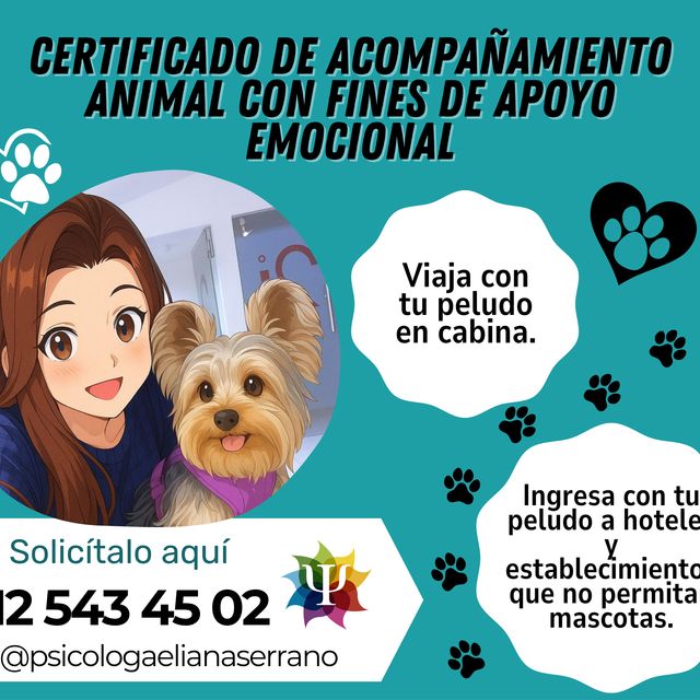 Acercar imagen: certificate 4