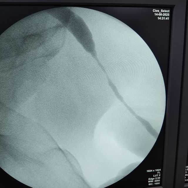 Acercar imagen: certificate 1