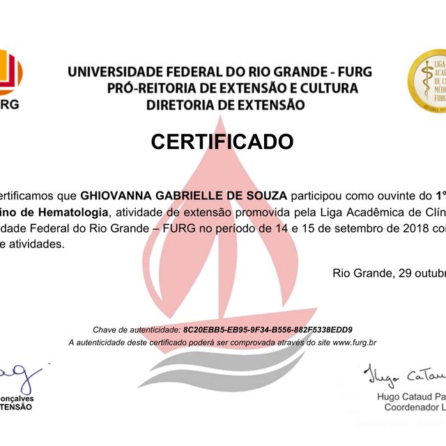 Ampliar imagem: certificate 9