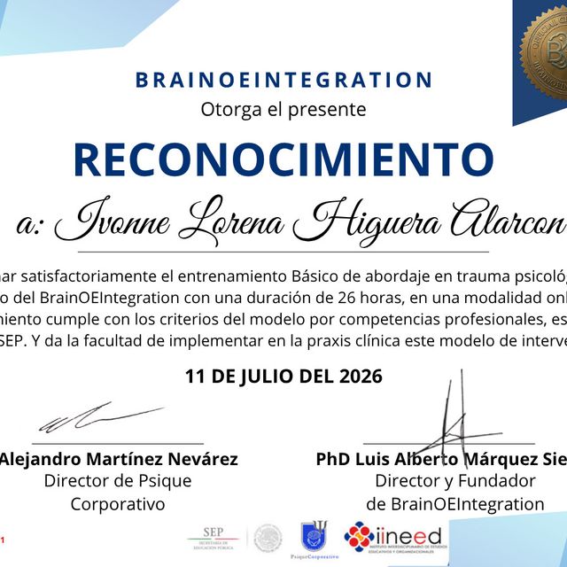 Acercar imagen: certificate 3