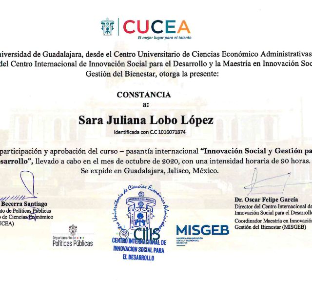 Acercar imagen: certificate 3