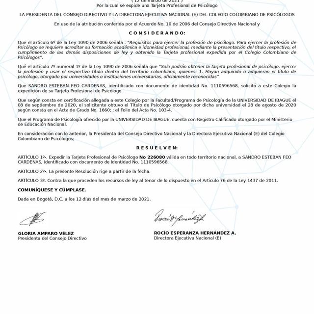 Acercar imagen: certificate 9
