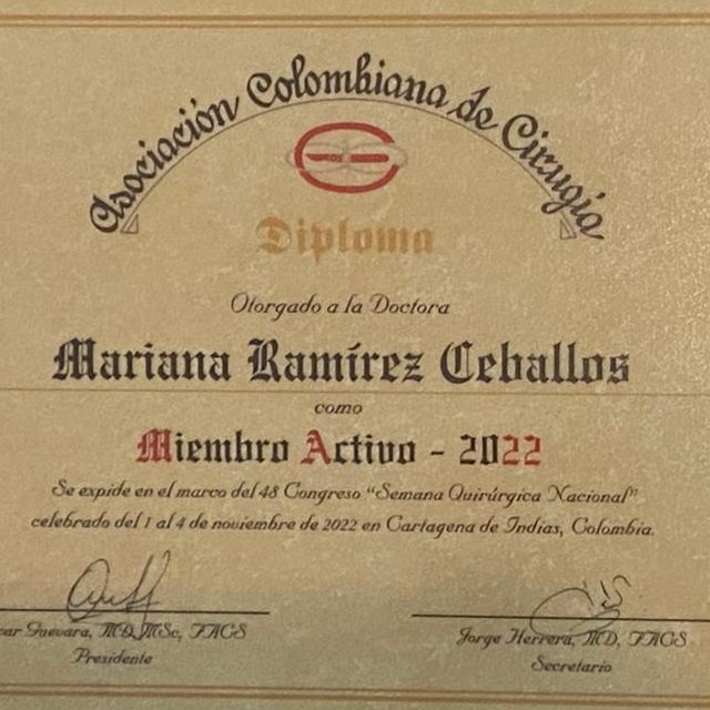 Acercar imagen: certificate 4
