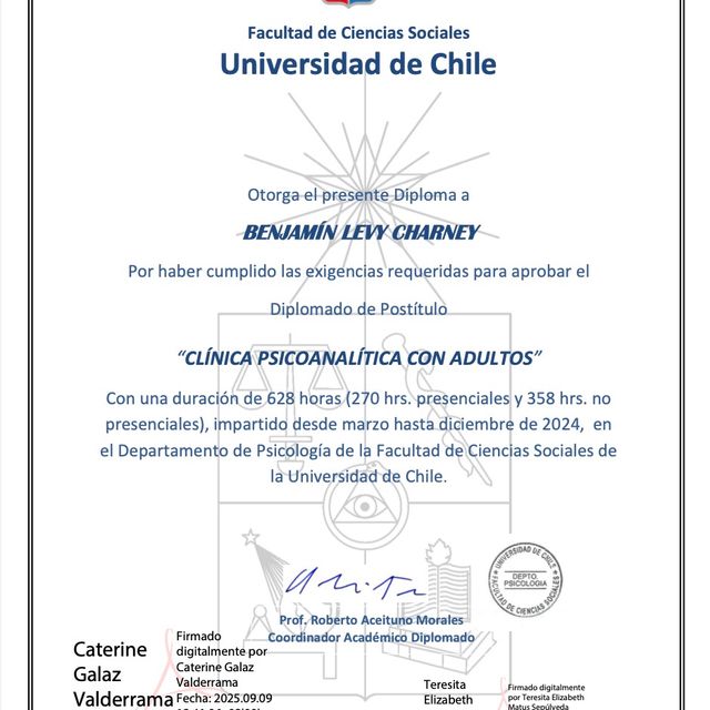 Acercar imagen: certificate 5