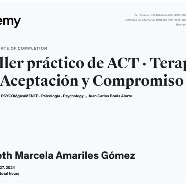 Acercar imagen: certificate 8