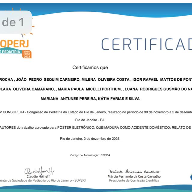 Ampliar imagem: certificate 4