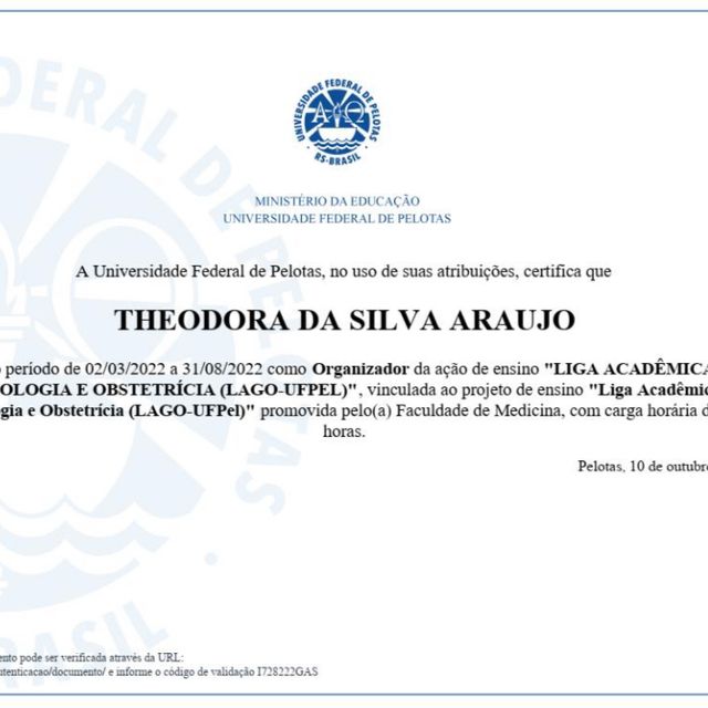 Ampliar imagem: certificate 13