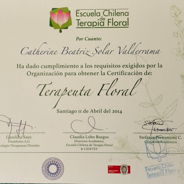Acercar imagen: certificate 6