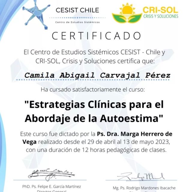 Acercar imagen: certificate 3