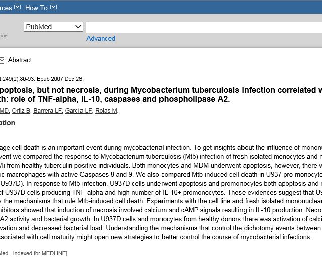 Acercar imagen: certificate 30