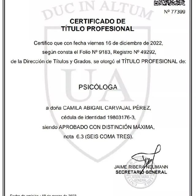 Acercar imagen: certificate 7