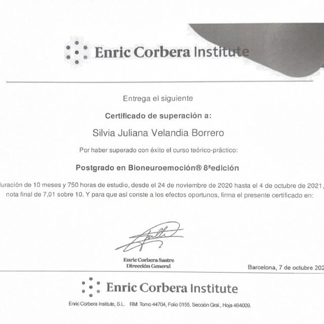Acercar imagen: certificate 1