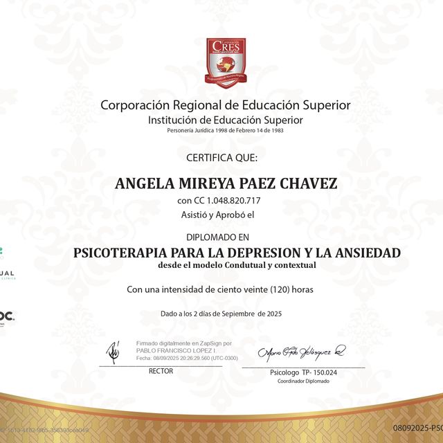 Acercar imagen: certificate 32