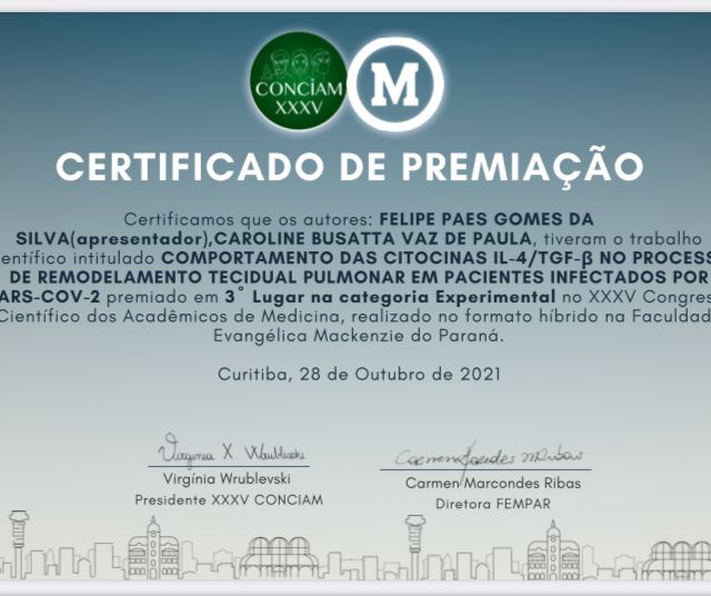 Ampliar imagem: certificate 7