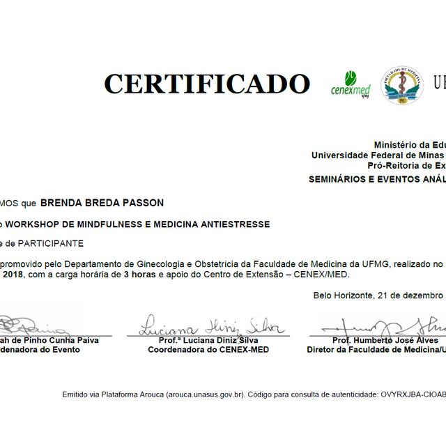 Ampliar imagem: certificate 3