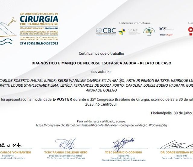 Ampliar imagem: certificate 5
