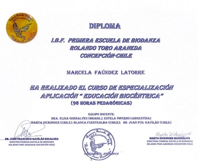Acercar imagen: certificate 3