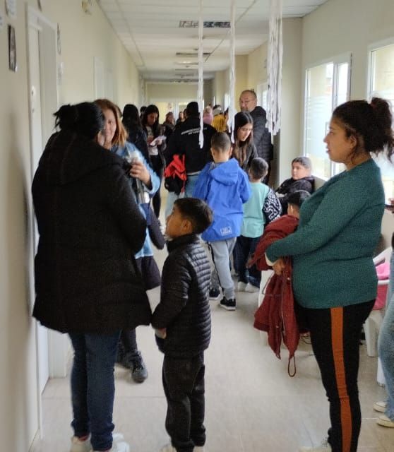 Acercar imagen: certificate 6