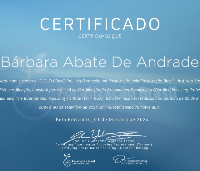 Ampliar imagem: certificate 3