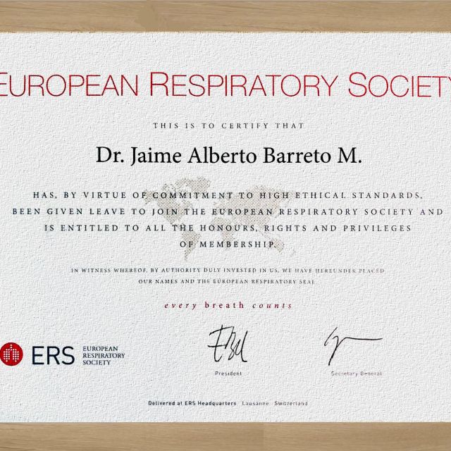 Acercar imagen: certificate 13