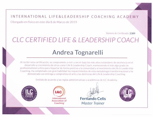 Acercar imagen: certificate 2