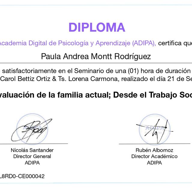 Acercar imagen: certificate 8