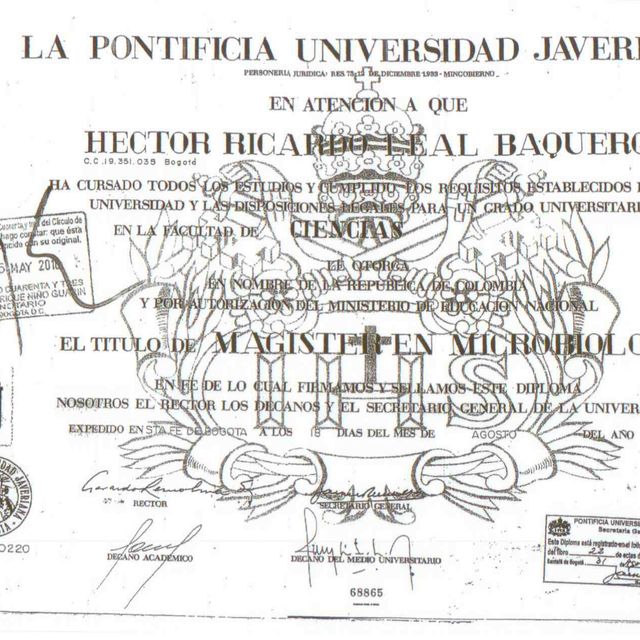 Acercar imagen: certificate 3