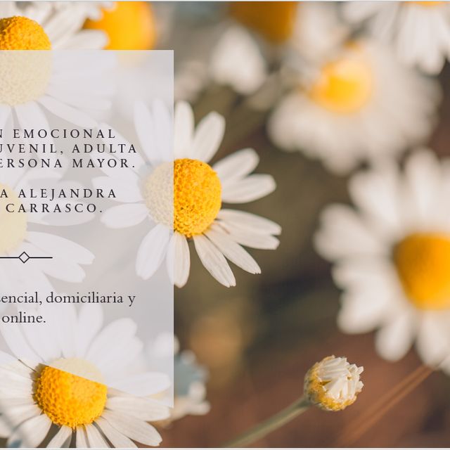 Acercar imagen: certificate 2