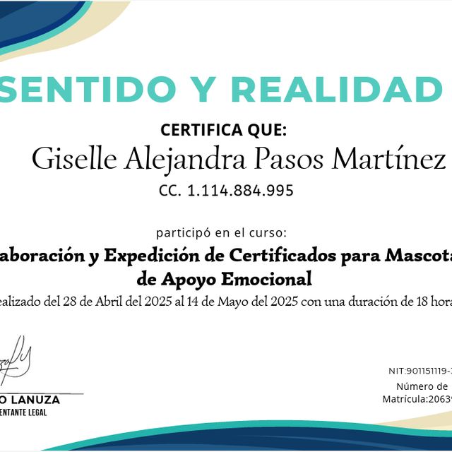 Acercar imagen: certificate 5