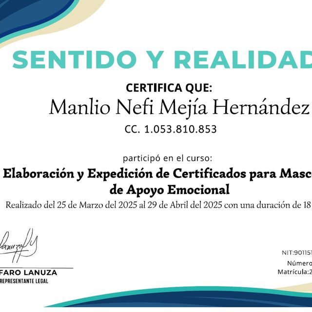 Acercar imagen: certificate 1