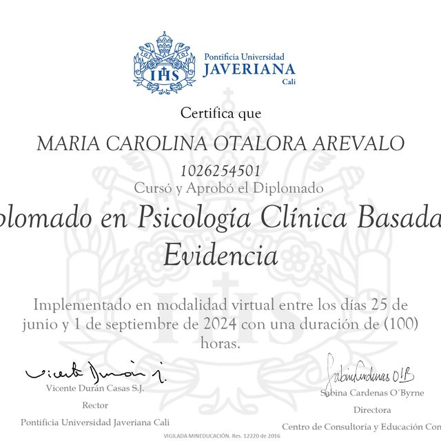 Acercar imagen: certificate 3