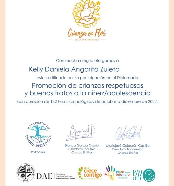 Acercar imagen: certificate 4