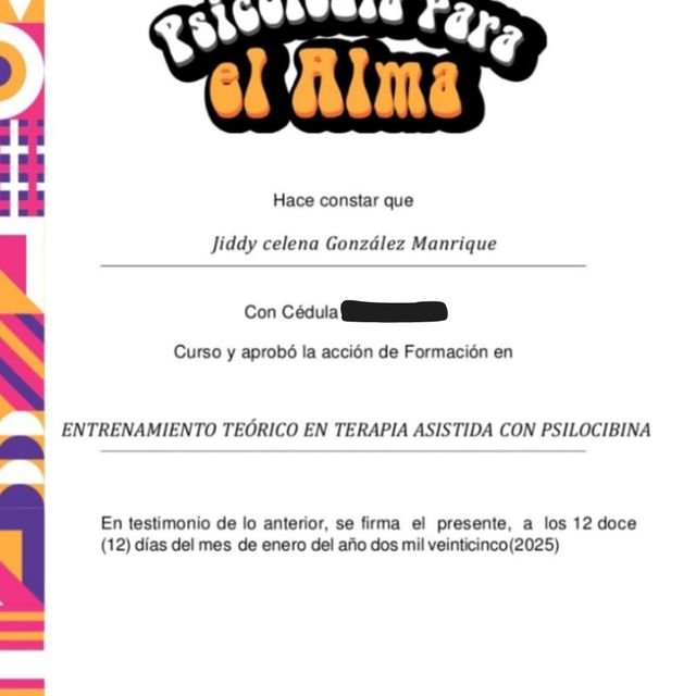 Acercar imagen: certificate 6