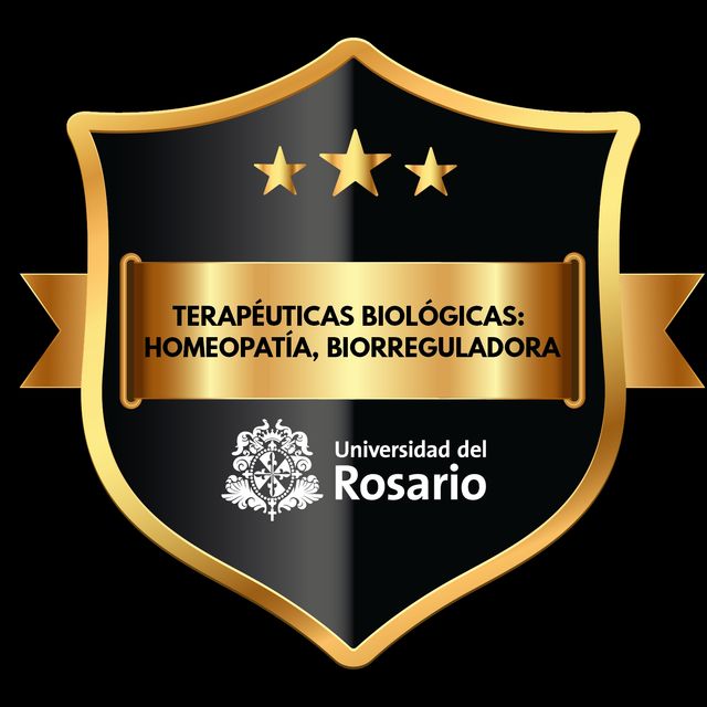 Acercar imagen: certificate 5