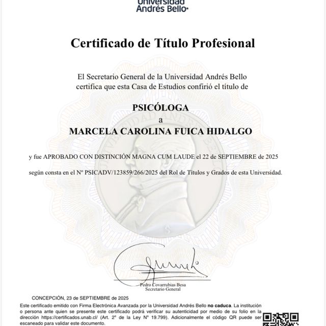 Acercar imagen: certificate 2