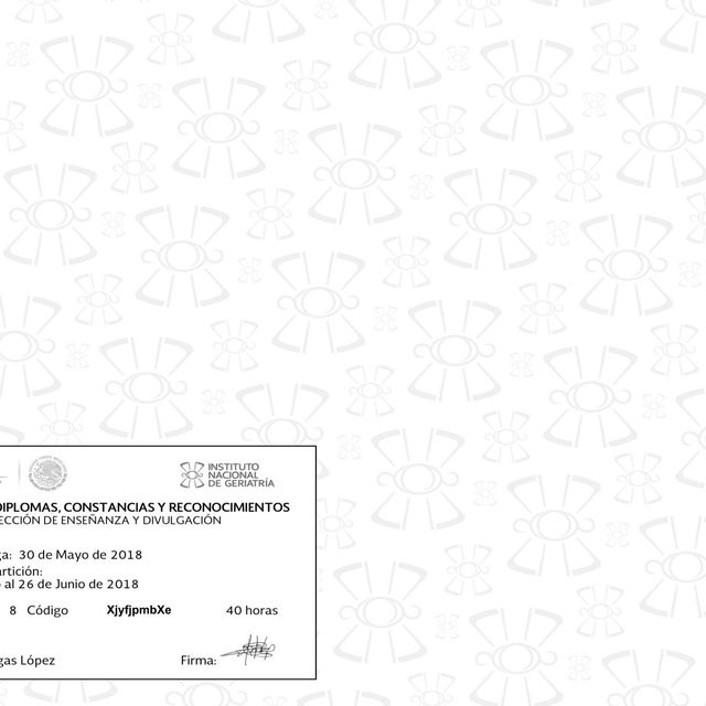 Acercar imagen: certificate 5