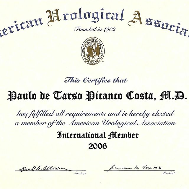 Ampliar imagem: certificate 4