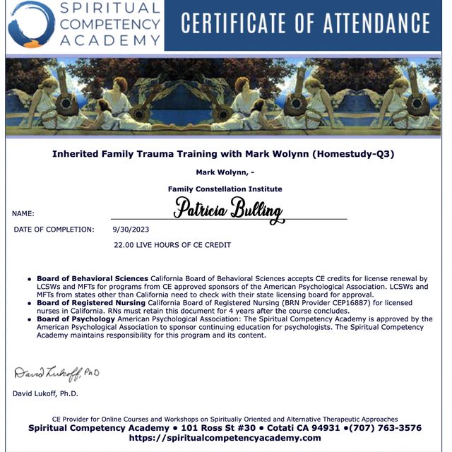 Acercar imagen: certificate 5